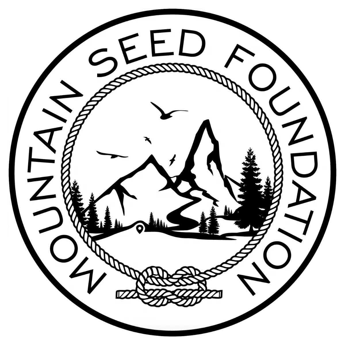 Fondation Mountain Seed
